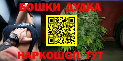 2c-b Лесосибирск