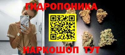 2c-b Лесосибирск