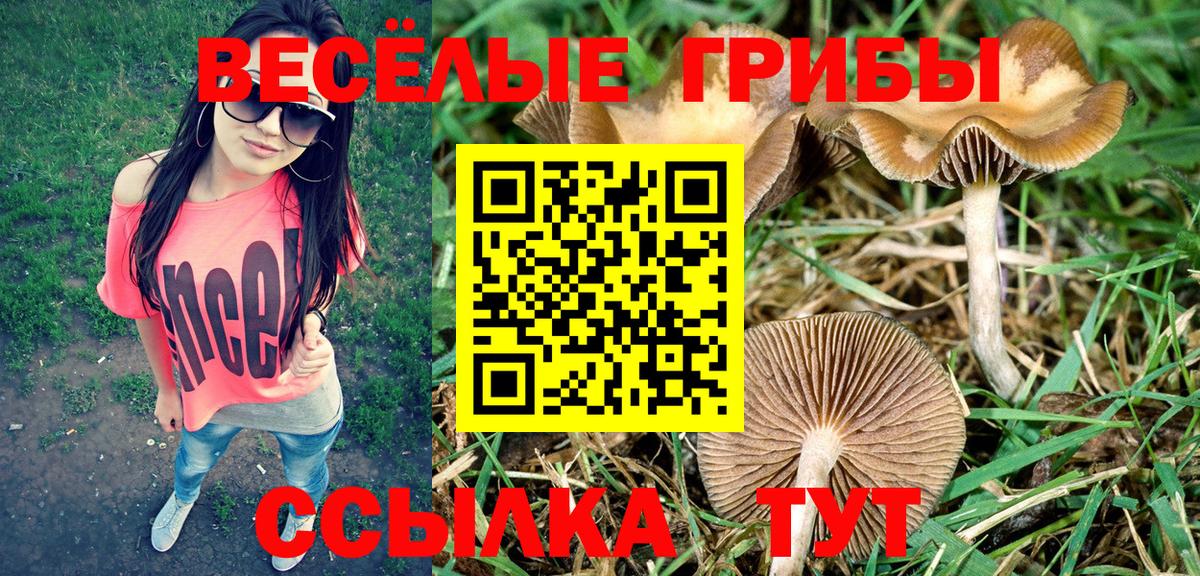 Псилоцибиновые грибы GOLDEN TEACHER Южно-Сахалинск