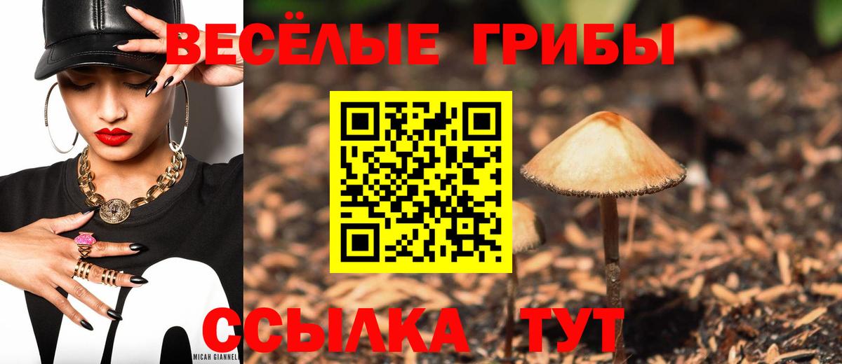 Галлюциногенные грибы MAGIC MUSHROOMS  Вход с VPN  Южно-Сахалинск 